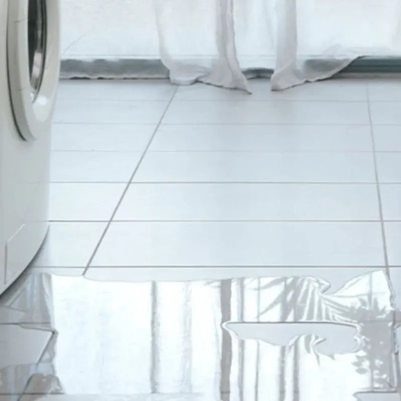 Appliance Leak Cleanup in Whitewright, TX