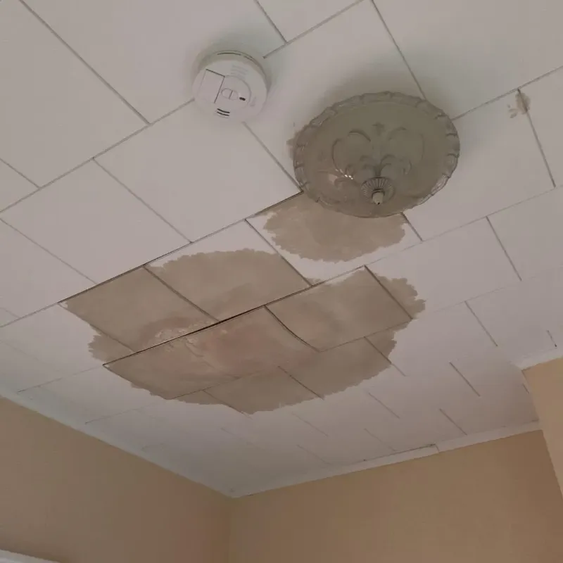 Ceiling Water Damage Repair in Whitewright, TX