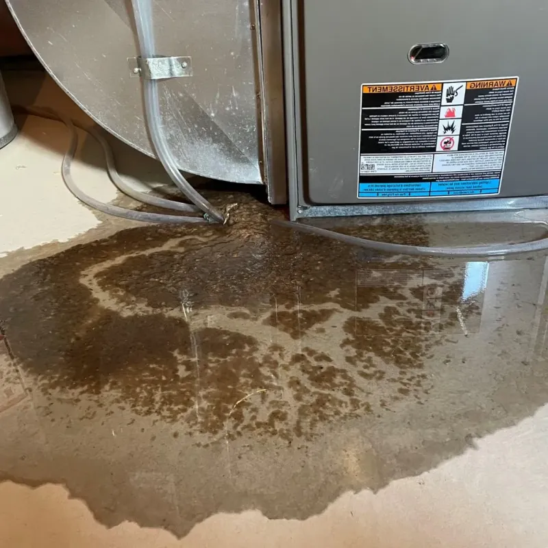 Pipe Burst and Leak Restoration in Whitewright, TX