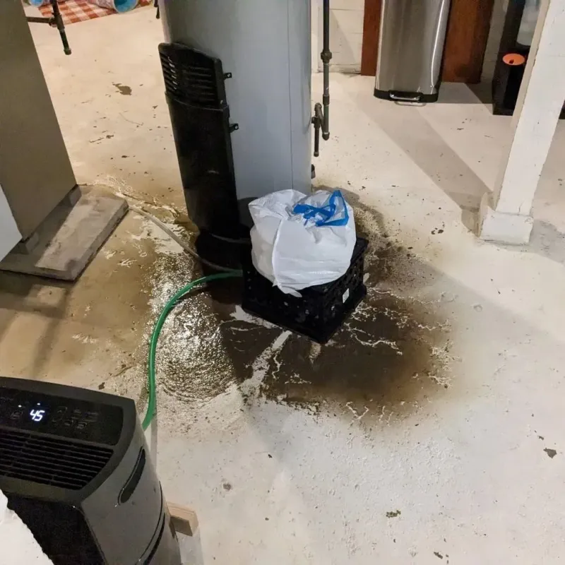 Sewage Backup Cleanup Service in Whitewright, TX